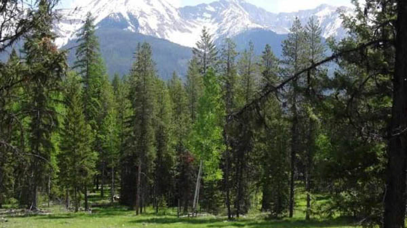 328 Uffda Drive, Condon, MT 59826