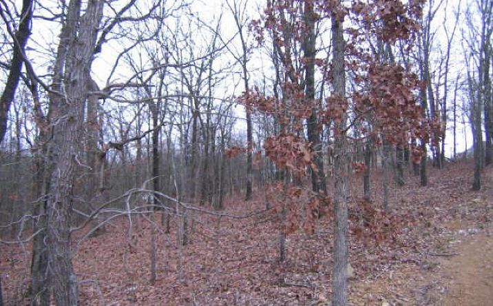 image of property at DEER VALLEY DRIVE Catoosa OK 74015