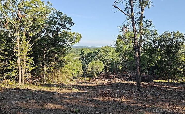 Pictures of Land property located at 21595 W 888 Road, Cookson, OK 74427 for sales - image #1