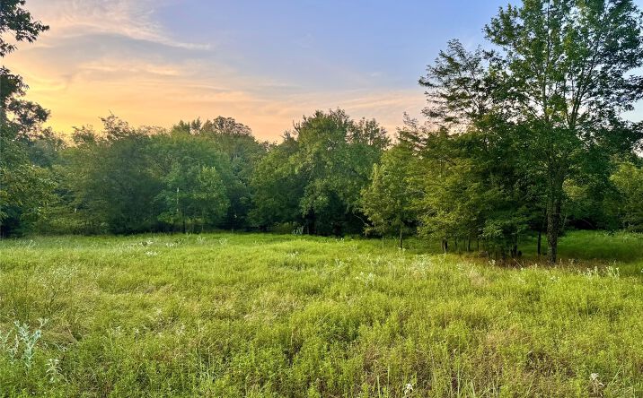 Pictures of Land property located at Deer Run, Hugo, OK 74756 for sales - image #1