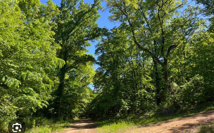 Pictures of Land property located at Sherman Road, Moyers, OK 74557 for sales - image #1