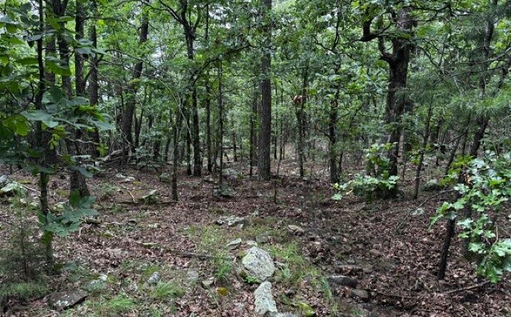 Pictures of Land property located at W Boggy Mountain Road, Red Oak, OK 74563 for sales - image #1