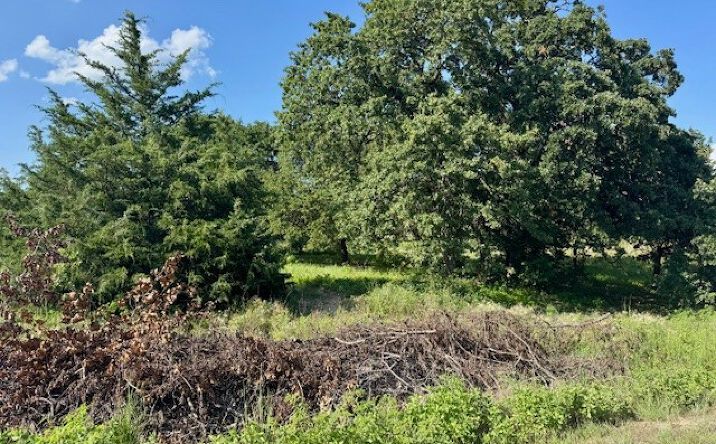 Pictures of Land property located at 1565 Shirlwood, Kingston, OK 73439 for sales - image #1