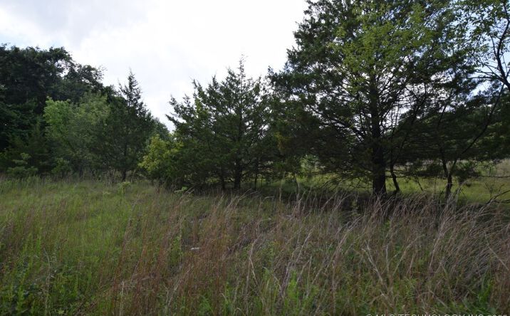 Pictures of Land property located at 36005 Hwy 20, Jay, OK 74346 for sales - image #1