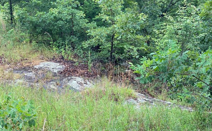 Pictures of Land property located at Lake Road, Skiatook, OK 74070 for sales - image #1