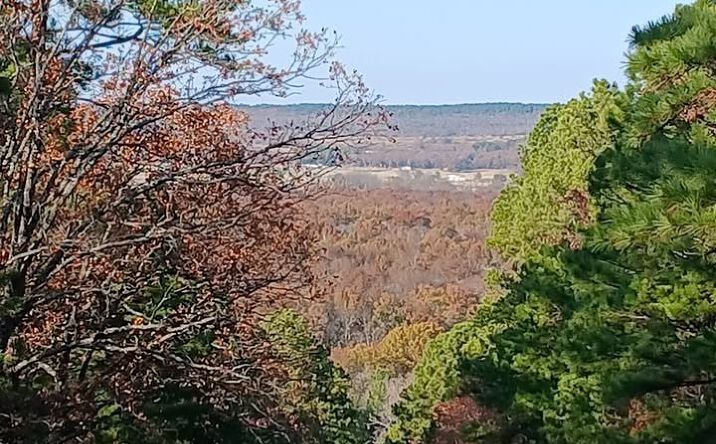Pictures of Land property located at N 4190 Road, Hartshorne, OK 74578 for sales - image #1