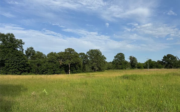 Pictures of Land property located at 9836 County Road 3647 Loop, Allen, OK 74825 for sales - image #1