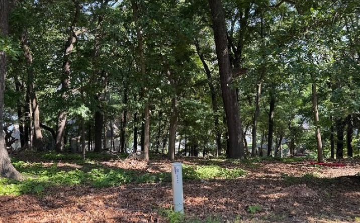 Pictures of Land property located at 451792 Black Hawk Circle, Afton, OK 74331 for sales - image #1