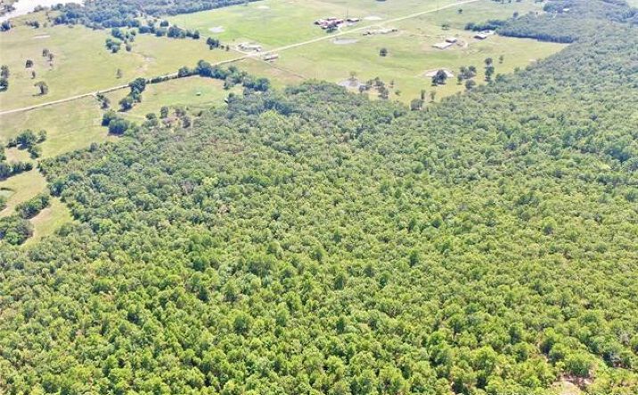 Pictures of Land property located at 13721 SW 1028th, Buffalo Valley, OK 74571 for sales - image #1