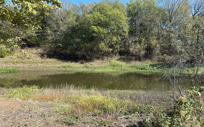 Pictures of Land property located at Ironwood, Thackerville, OK 73459 for sales - image #1
