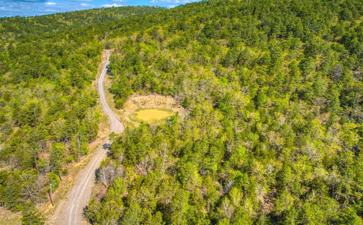 002 Savage Road, Pittsburg, OK 74560 | Crexi.com