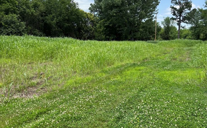 Pictures of Land property located at 20624 Ferguson Road, Okmulgee, OK 74447 for sales - image #1