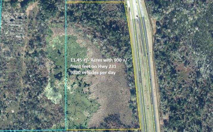 Pictures of Land property located at 11.45 ACRE Us-231, Cottondale, FL 32431 for sales - image #1