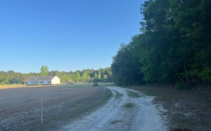 Pictures of Land, Multifamily property located at 2552 Joseph Lemon Dingle Rd. #1, Manning, SC 29102 for sales - image #1
