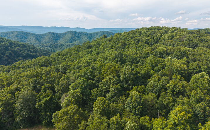 Pictures of Land property located at 0 Gravely Valley Rd, Eidson, TN 37731 for sales - image #1