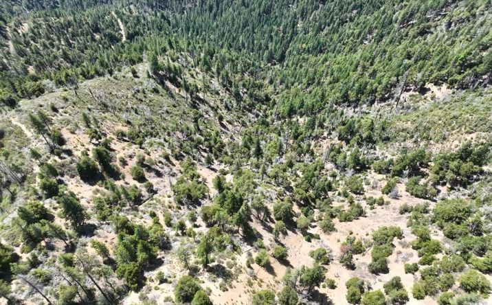 Pictures of Land property located at 2510 Fs Rd, Hyampom, CA 96046 for sales - image #1