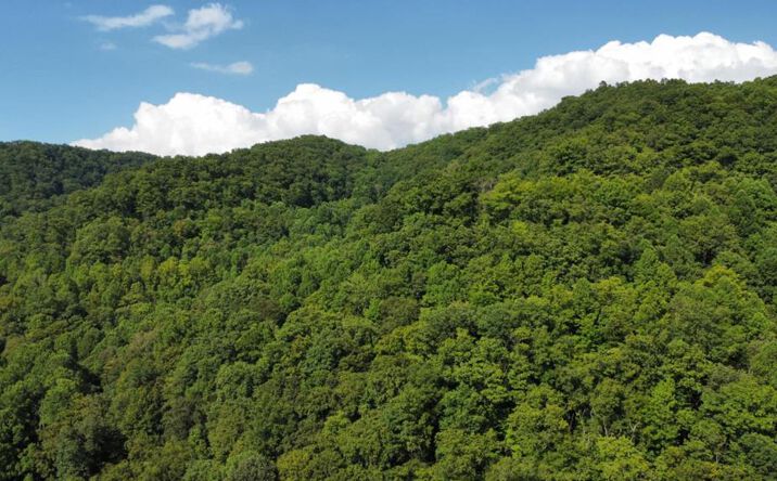 Pictures of Land property located at TBD Nanny Branch Rd, Grundy, VA 24614 for sales - image #1