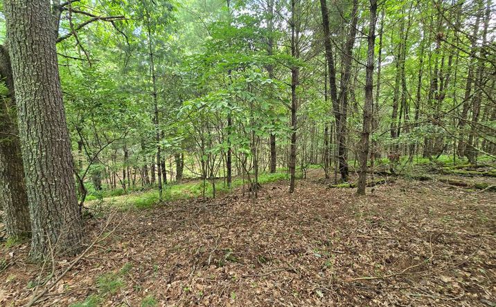 Pictures of Land, Multifamily property located at TBD Summerset Dr., Independence, VA 24348 for sales - image #1
