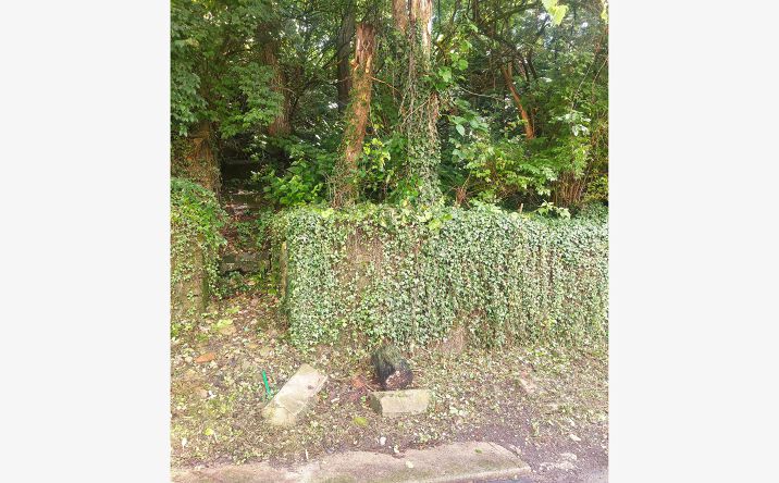 Pictures of Land property located at 513 Tafel St, Cincinnati, OH 45225 for sales - image #1