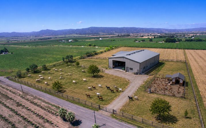 Pictures of Land property located at Co Rd 86A, Esparto, CA 95627 for sales - image #1