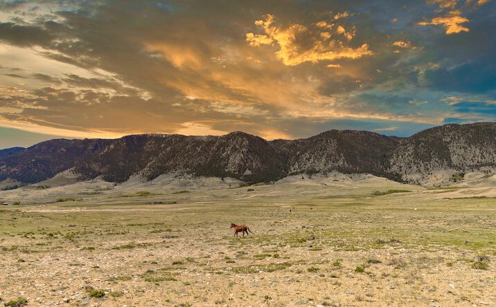 Pictures of Land property located at Wild Horse Ranch Lot 294, Bosler, WY 82070 for sales - image #1