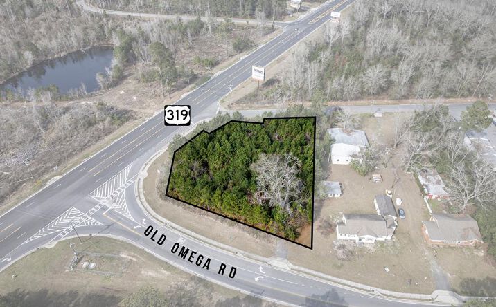 Pictures of Land property located at US Highway 319 S @ Old Omega RD, Tifton, GA 31794 for sales - image #1