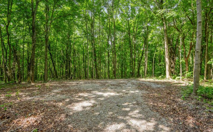 Pictures of Land property located at 0 Potts Hill Rd, Bainbridge, OH 45612 for sales - image #1