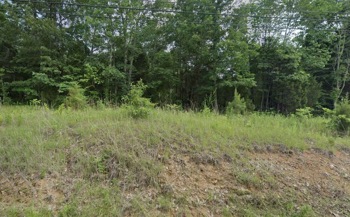 Pictures of Land property located at blue bird rd, falls of rough, KY 40119 for sales - image #1