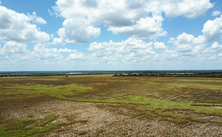 Pictures of Land property located at 355 County Road 321, George West, USA 78022 for sales - image #1
