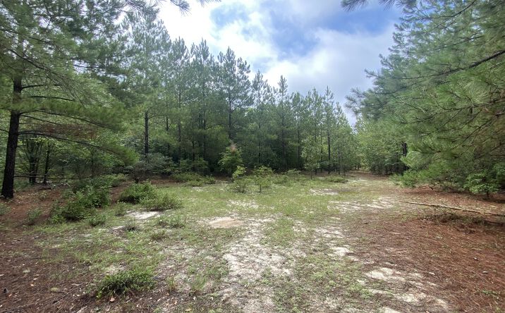 Pictures of Land property located at Hubbs Rd, Swansea, SC 29160 for sales - image #1