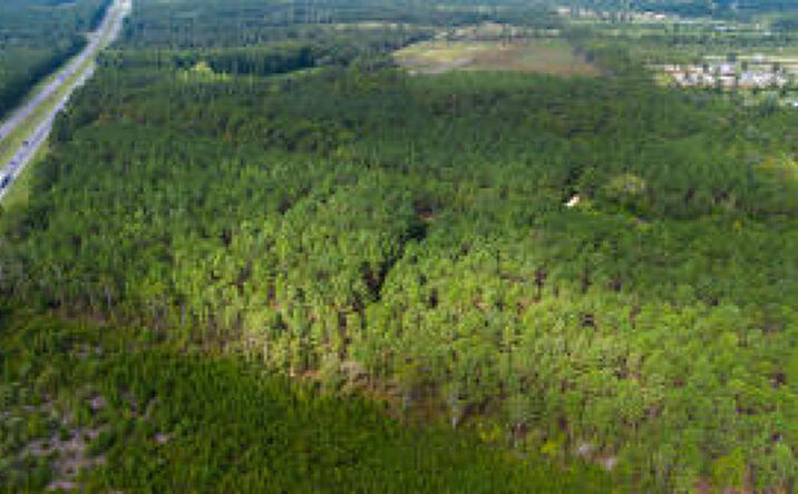 Pictures of Land property located at 347 Peachtwig Road, Monetta, SC 29105 for sales - image #1