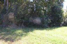 26332010