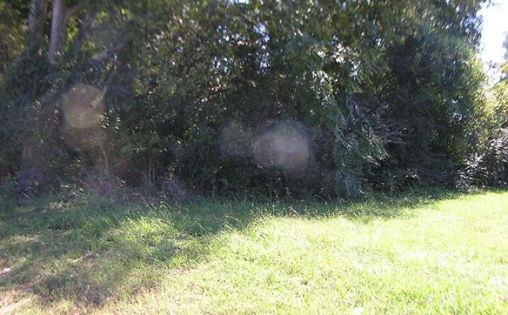 Pictures of Land property located at 0 2nd St., Muscle Shoals, AL 35661 for sales - image #1