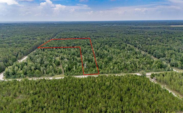 Pictures of Land property located at Lot 1 00 NE 30th Ave, High Springs, FL 32643 for sales - image #1