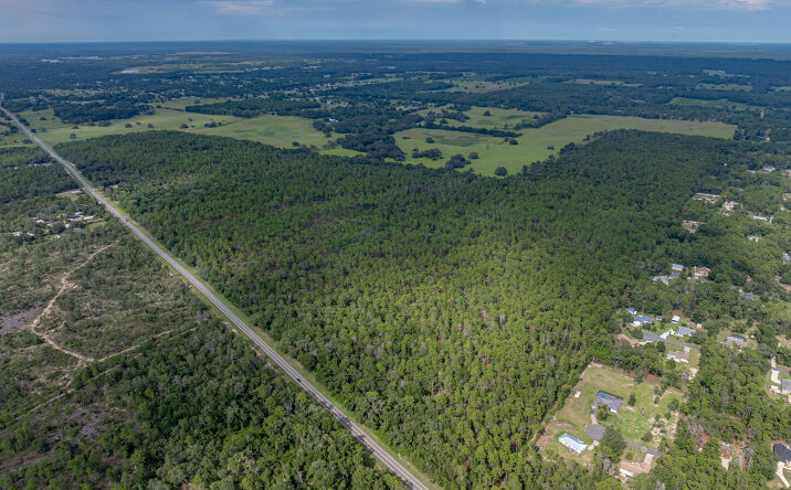 Pictures of Land property located at 11048 S Florida Ave, Floral City, FL 34436 for sales - image #1