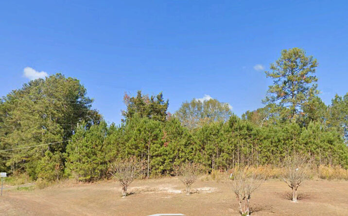Pictures of Land property located at 107 Adeline Ln, Newton, MS 39345 for sales - image #1