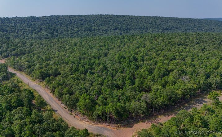 Pictures of Land property located at 11 Moonshine Drive, Clayton, OK 74536 for sales - image #1