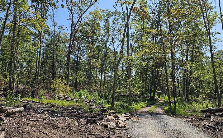 Pictures of Land property located at Lot 8.1 Eckes Road, Tusten, NY 12764 for sales - image #1