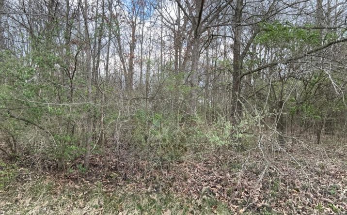 Pictures of Land property located at 0 Mitchell Lane, Ostrander, OH 43061 for sales - image #1