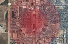 33033639