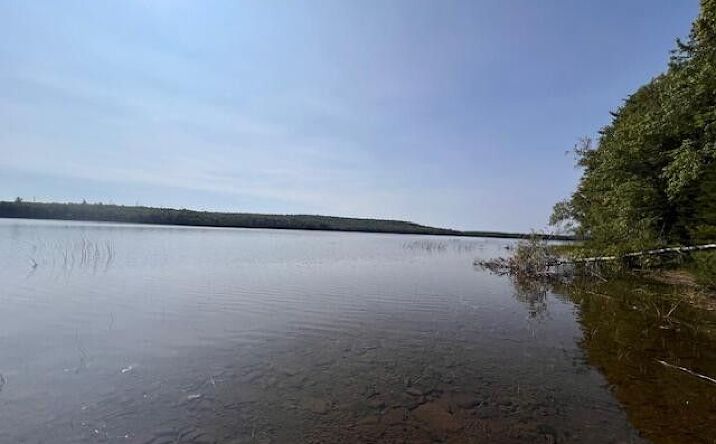 Pictures of Land property located at Woodland Ridge Road, Danforth, ME 04424 for sales - image #1