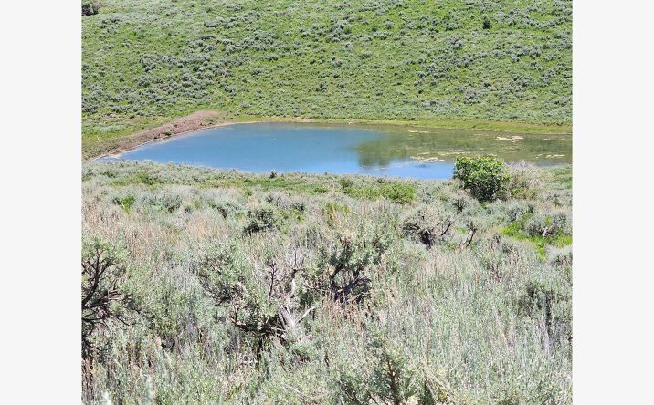 Pictures of Land property located at TBD Divide Rd. (Mont's Draw),, Gateway, CO 81522 for sales - image #1