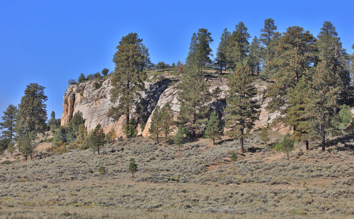 Pictures of Land property located at TBD Divide Road (Louie Pasture), Whitewater, CO 81527 for sales - image #1