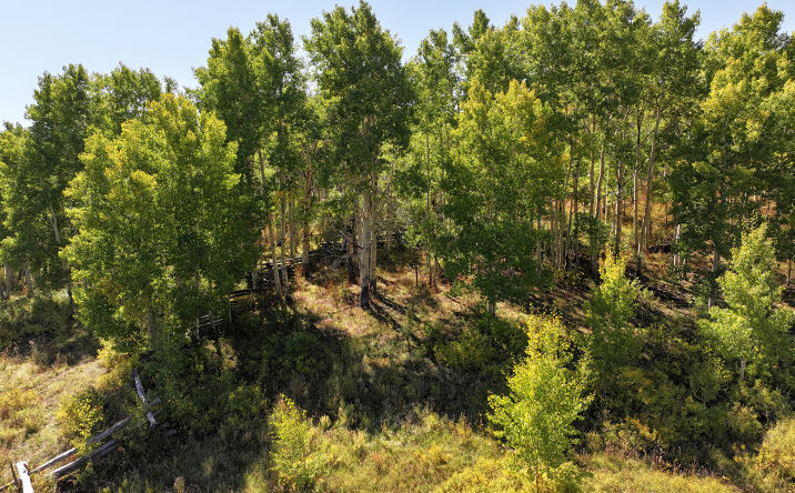 Pictures of Land property located at TBD Divide Road, Whitewater, CO 81527 for sales - image #1