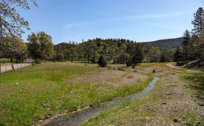 Pictures of Land property located at Whitaker Forest Rd, Miramonte, CA 93603 for sales - image #1
