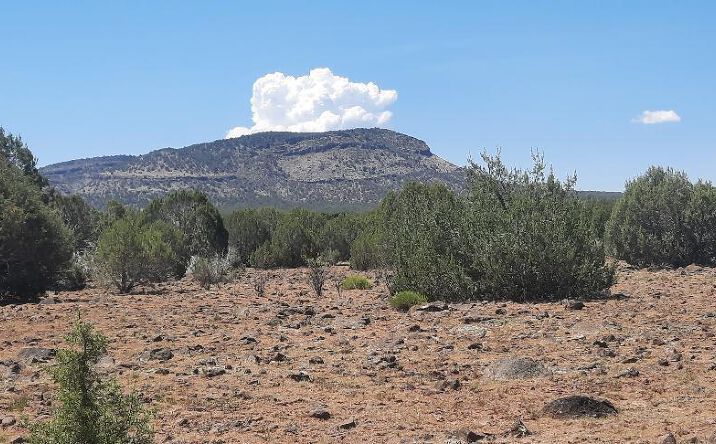 Pictures of Land property located at Xxxx Martinez, Williams, AZ 86046 for sales - image #1