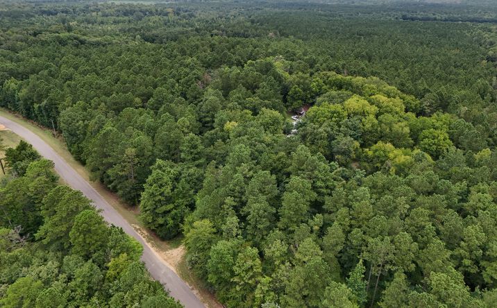 Pictures of Land property located at County Road 209, Selma, AL 36701 for sales - image #1