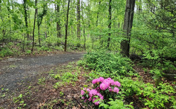 Pictures of Land, Multifamily property located at 2244 Williams Church road, Hellertown, PA 18055 for sales - image #1