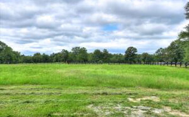 Pictures of Land property located at 601 Bethcar Church Road, Wagener, SC 29164 for sales - image #1