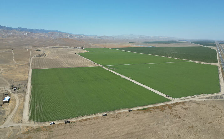 Pictures of Land property located at 15± mi. NE of Coalinga, Coalinga, CA 93210 for sales - image #1